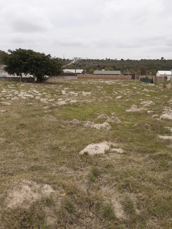 0 Bedroom Property for Sale in Albertinia Western Cape